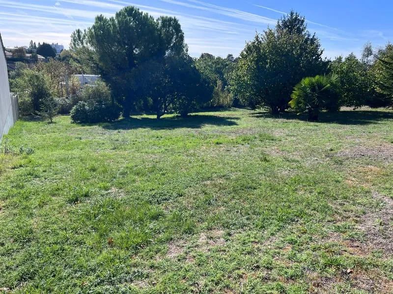 Terrain