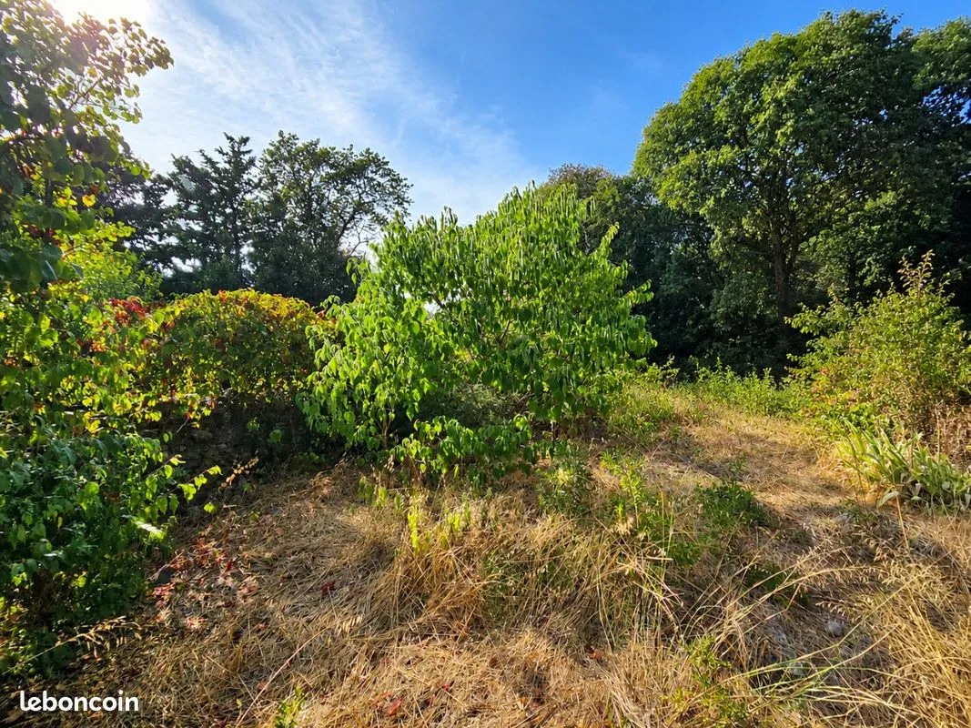 Terrain