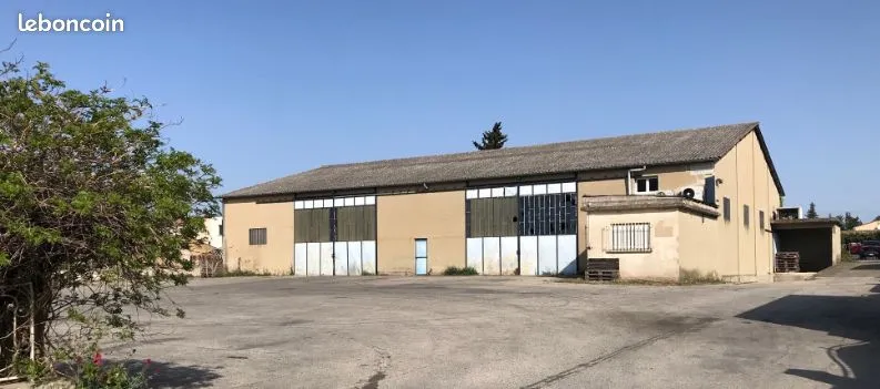 Local d'activité