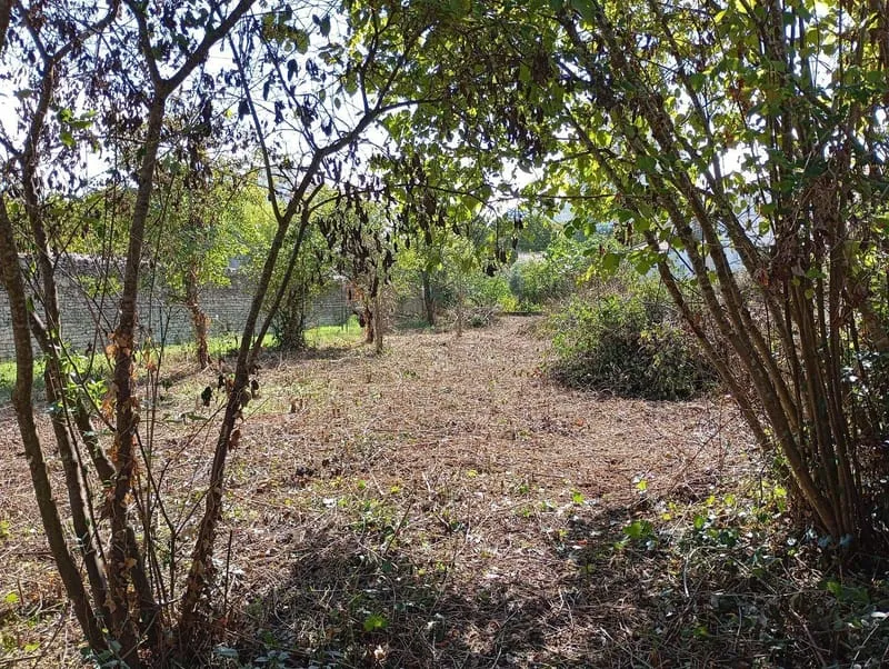 Terrain