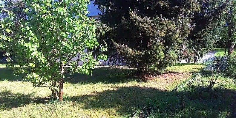 Terrain