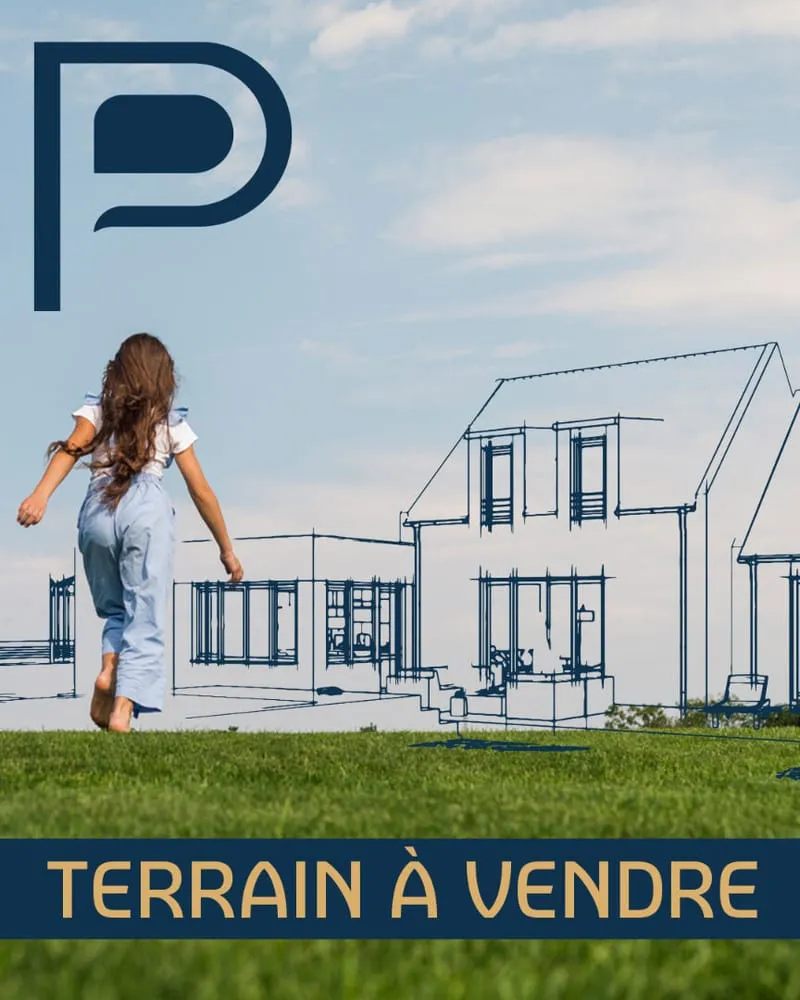Terrain