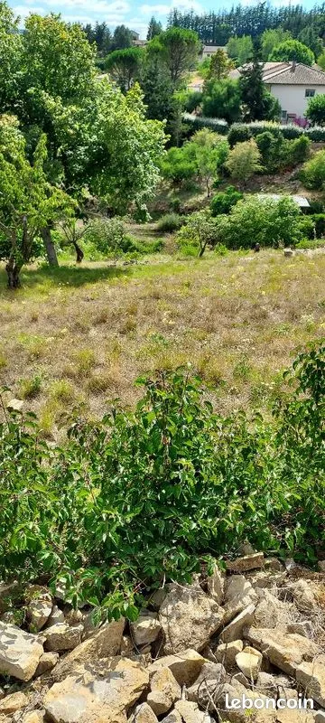 Terrain