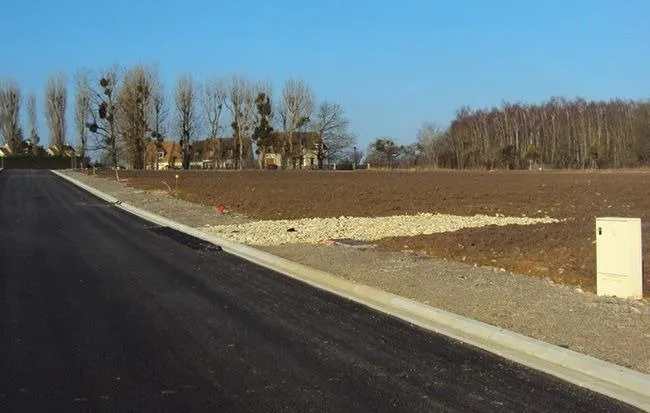 Terrain