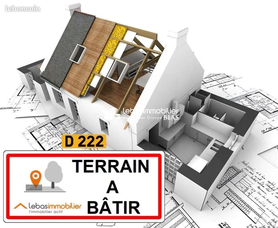 Terrain