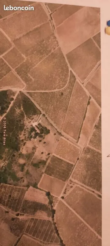 Terrain