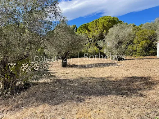Terrain