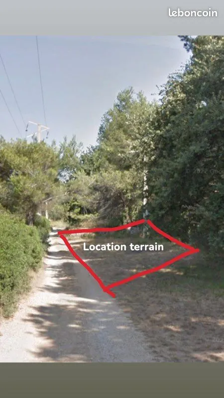 Terrain