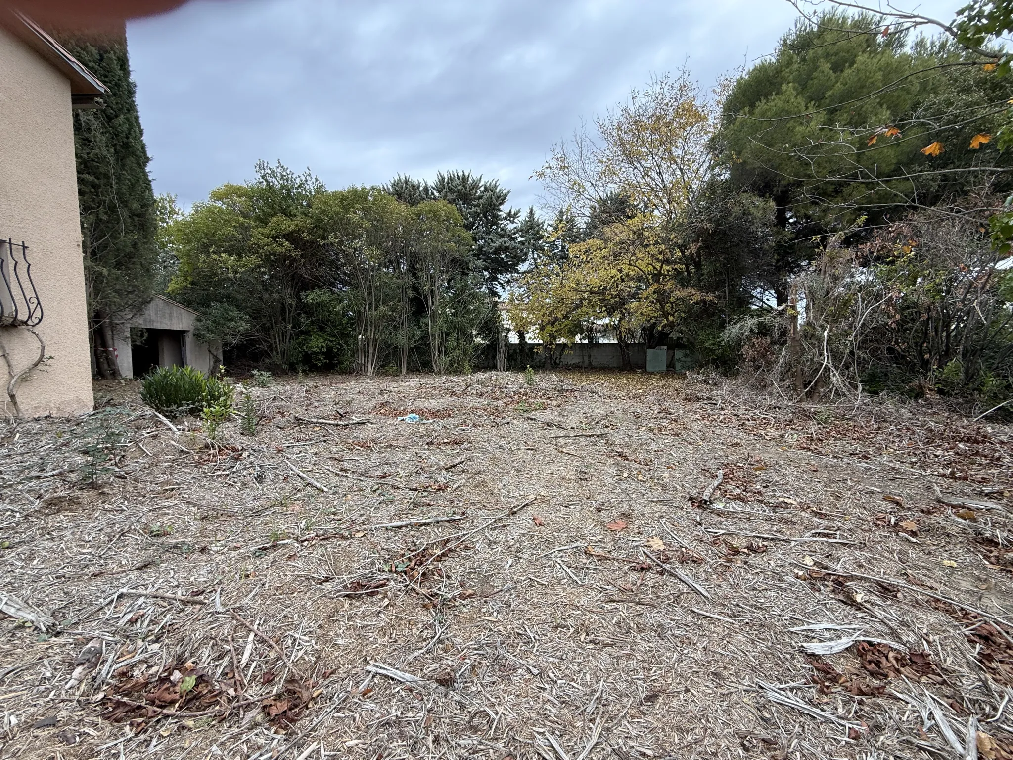Terrain