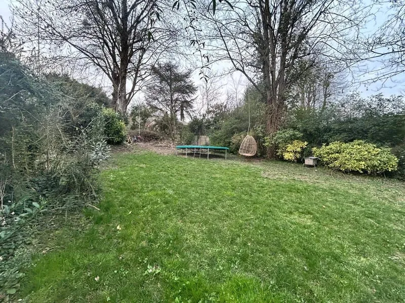 Terrain