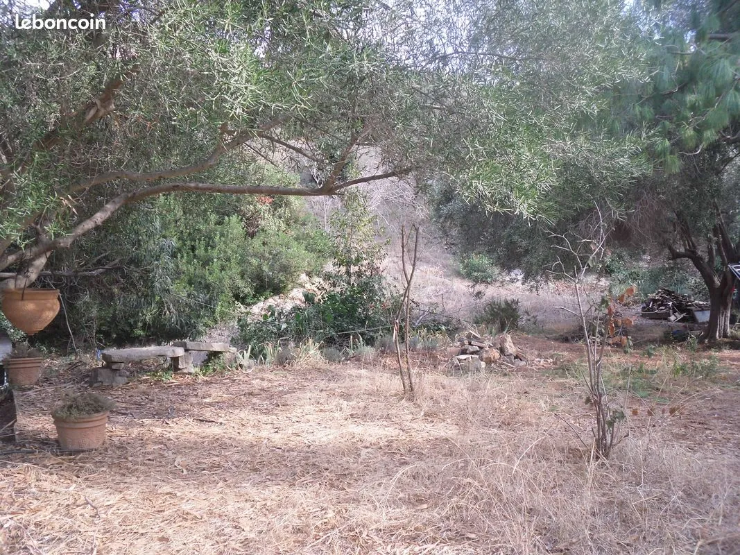 Terrain