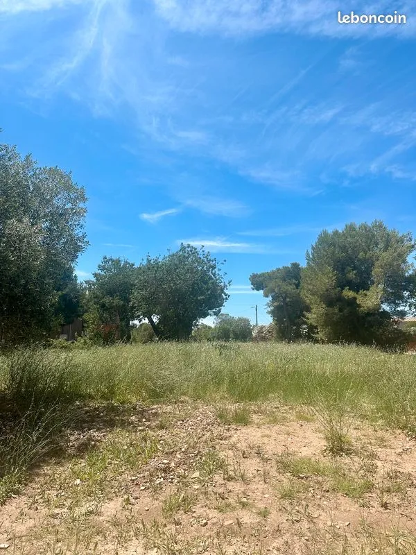 Terrain