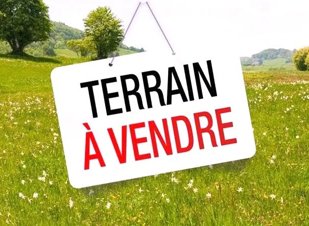 Terrain