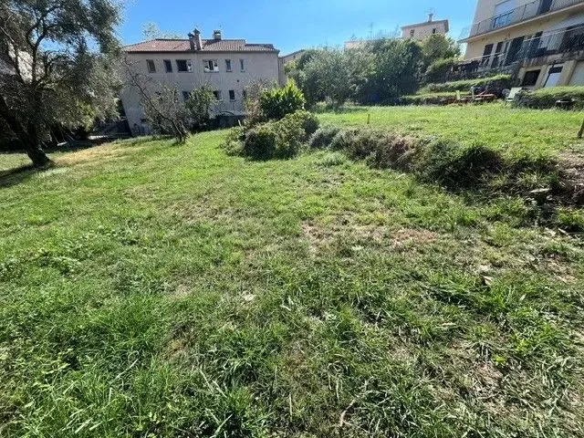 Terrain