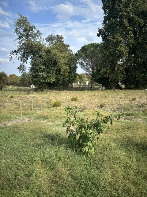 Terrain