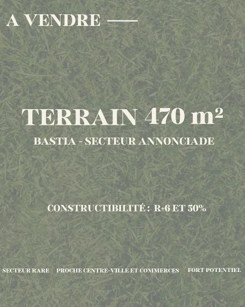 Terrain