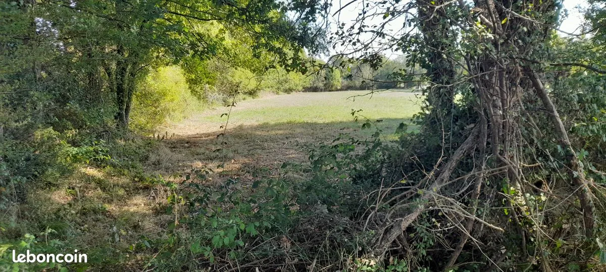Terrain