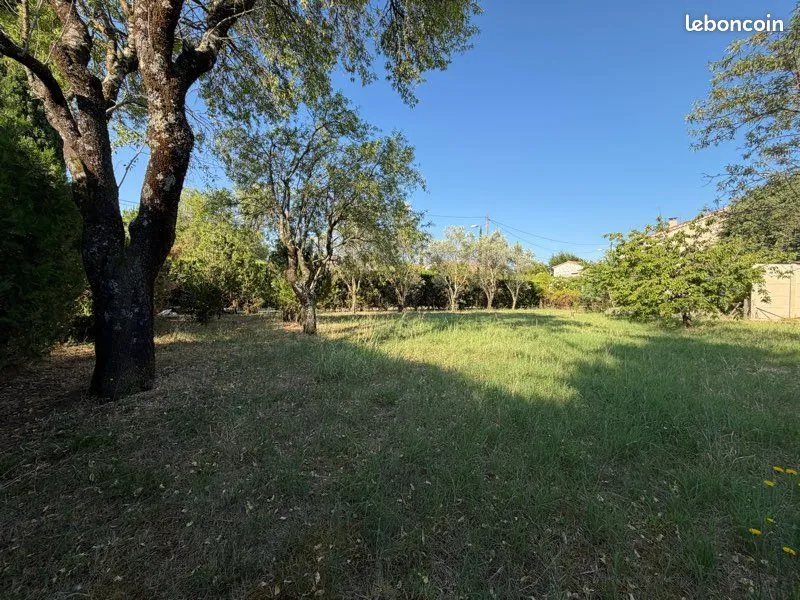 Terrain
