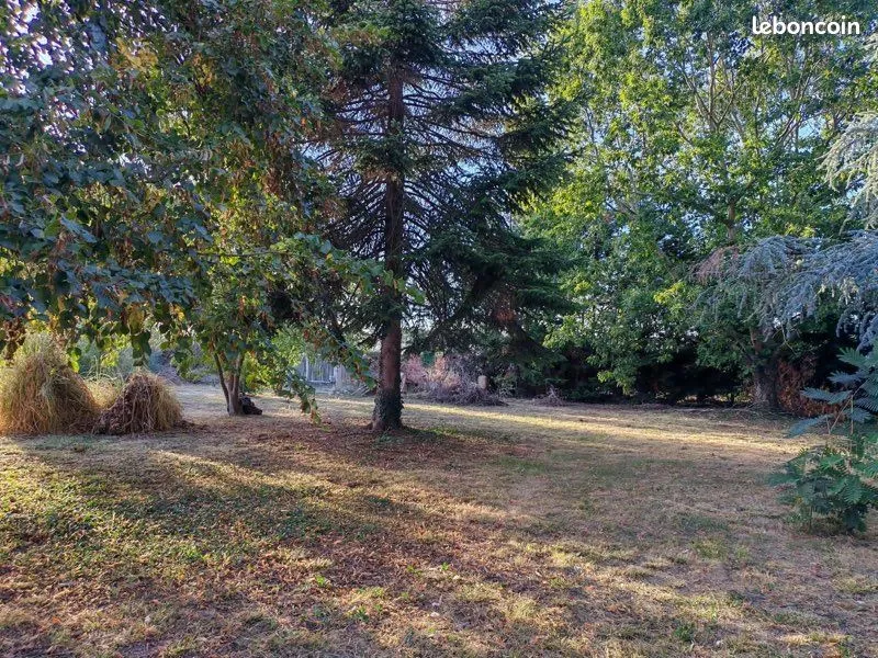Terrain