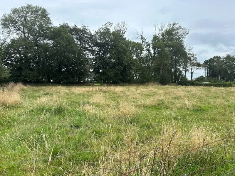 Terrain
