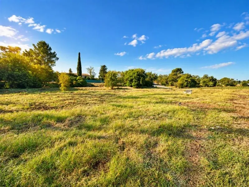 Terrain
