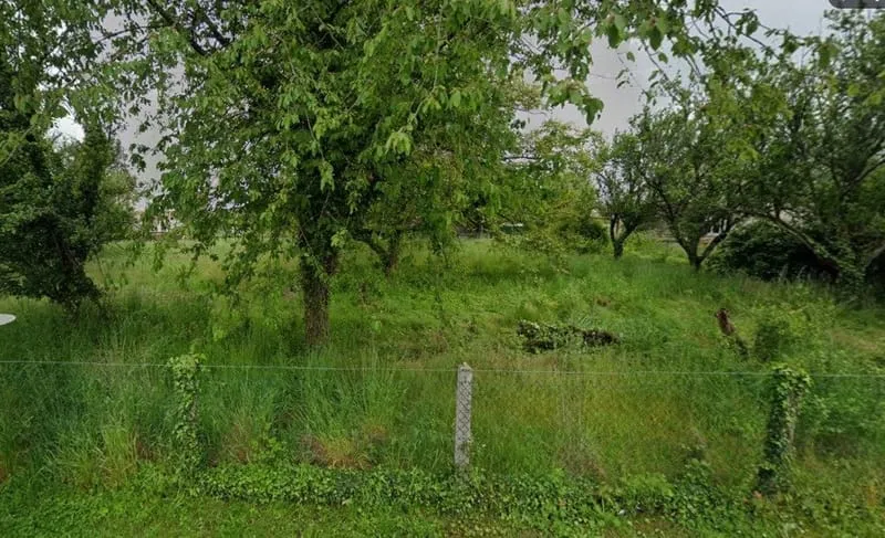 Terrain