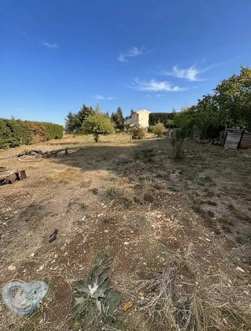 Terrain