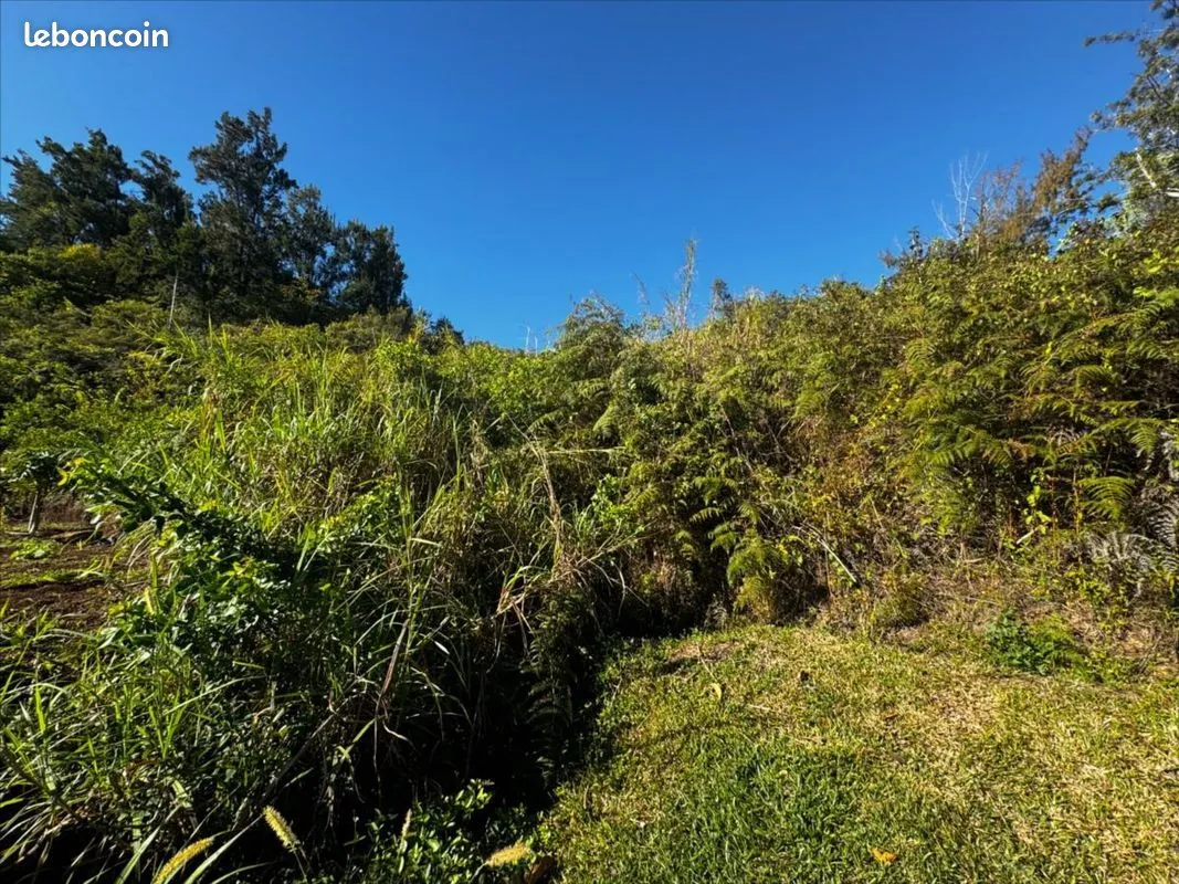 Terrain