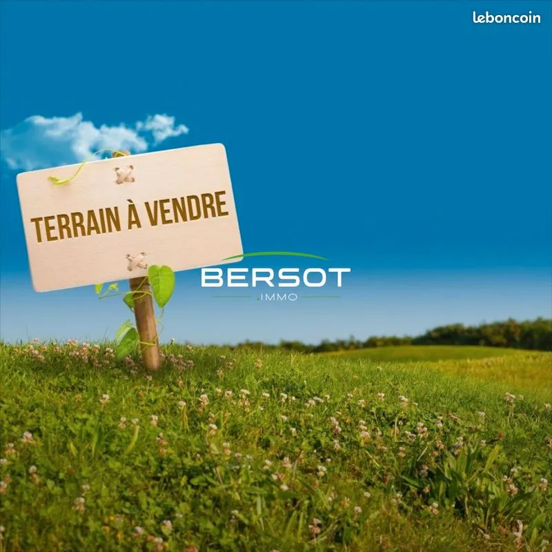 Terrain