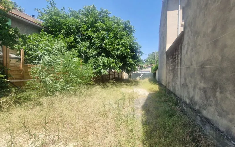 Terrain