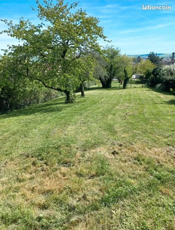 Terrain