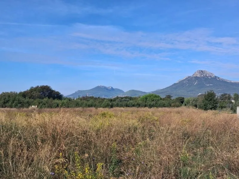 Terrain