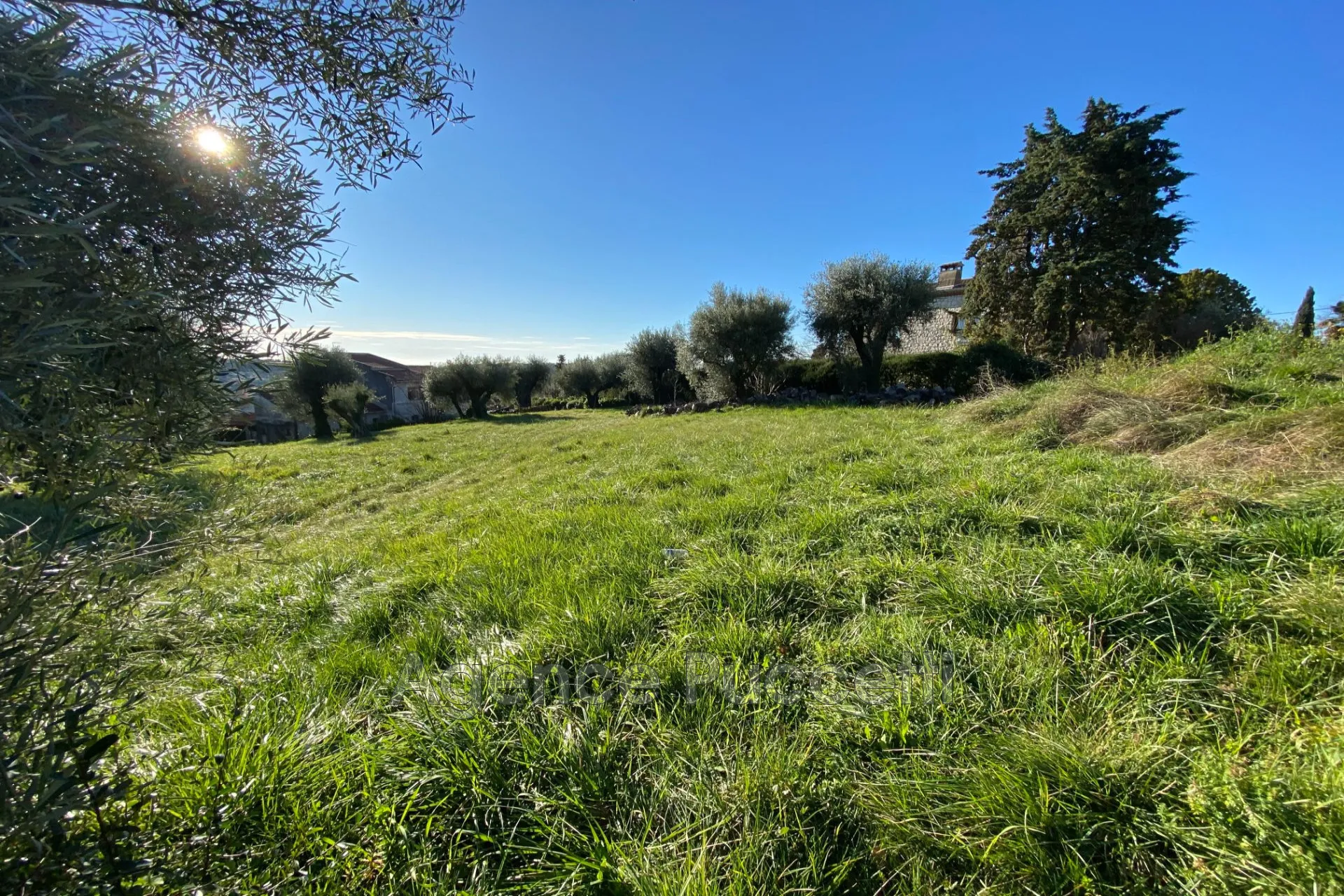 Terrain