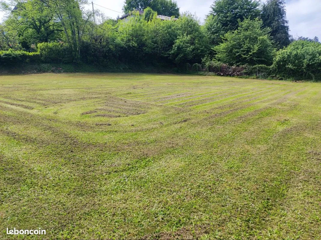 Terrain