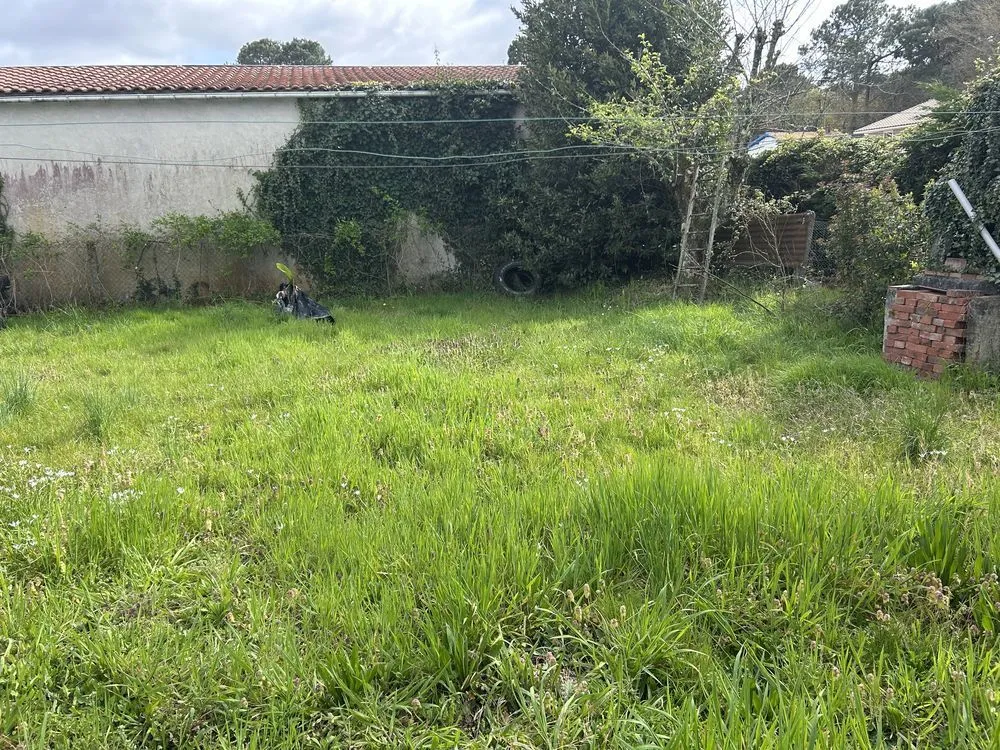 Terrain