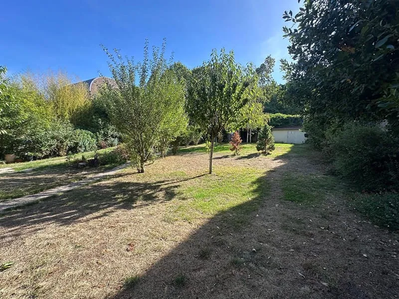 Terrain
