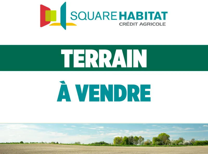 Terrain