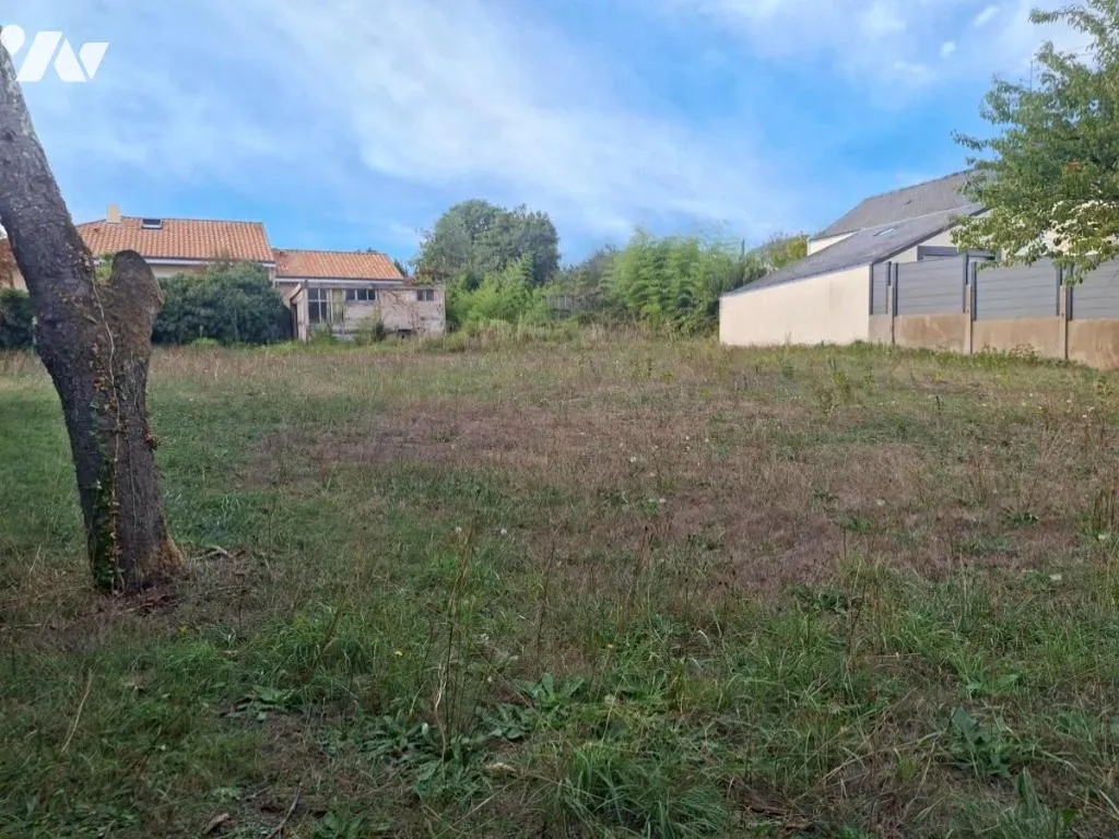 Terrain