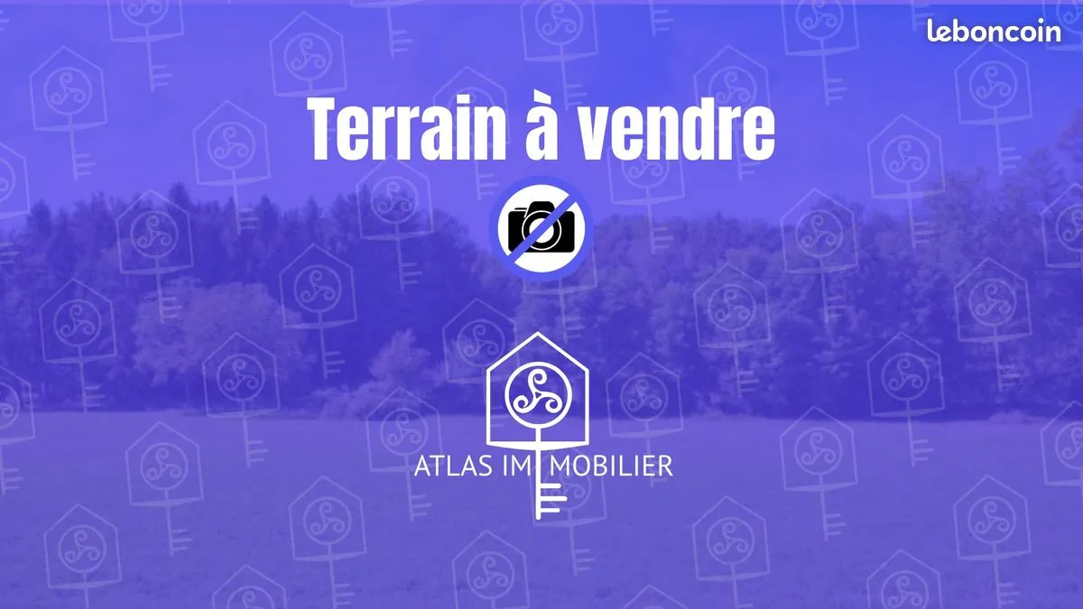 Terrain