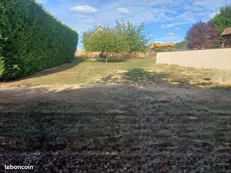 Terrain