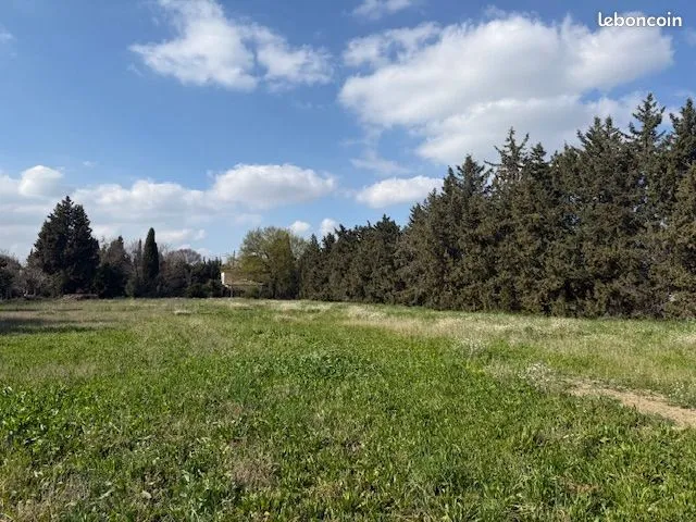 Terrain