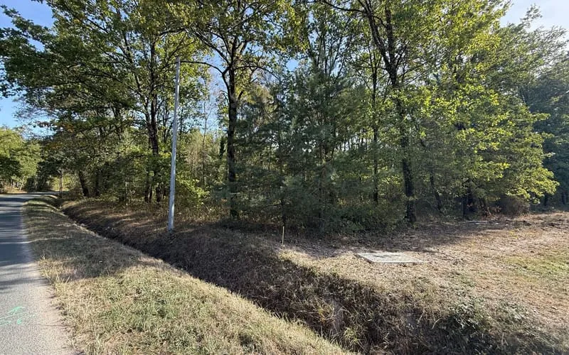 Terrain