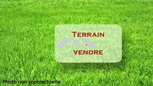 Terrain