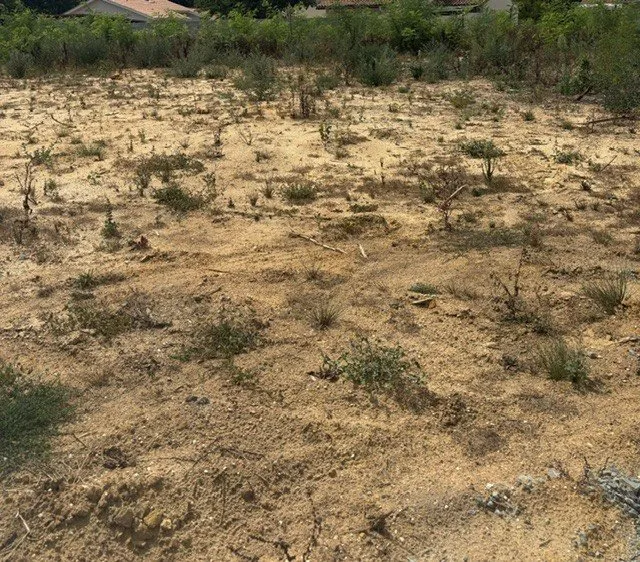 Terrain