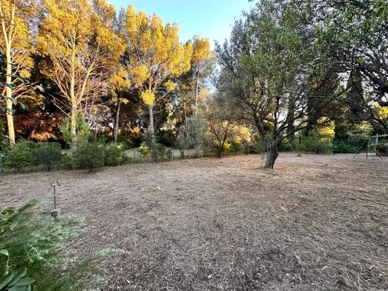 Terrain