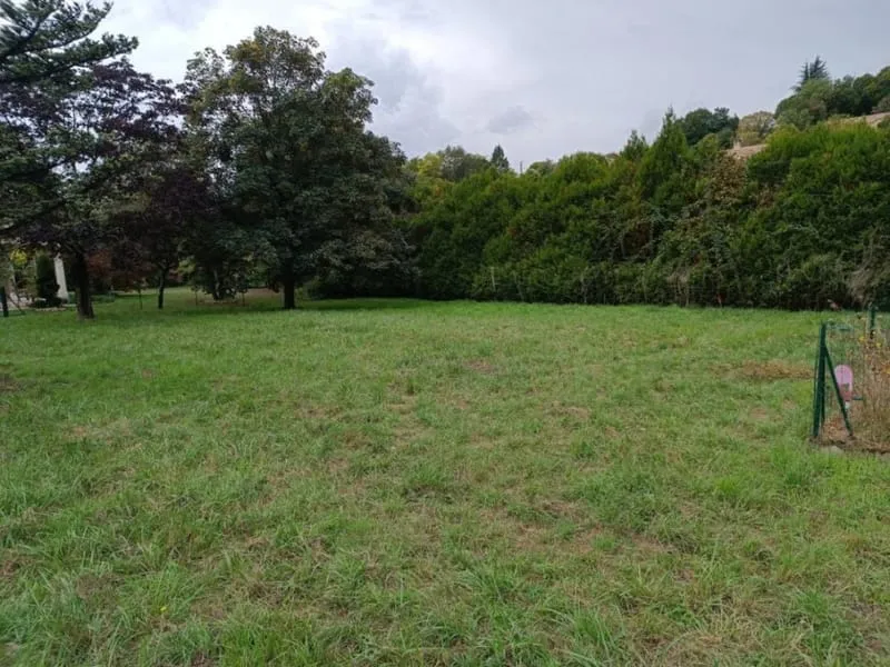 Terrain