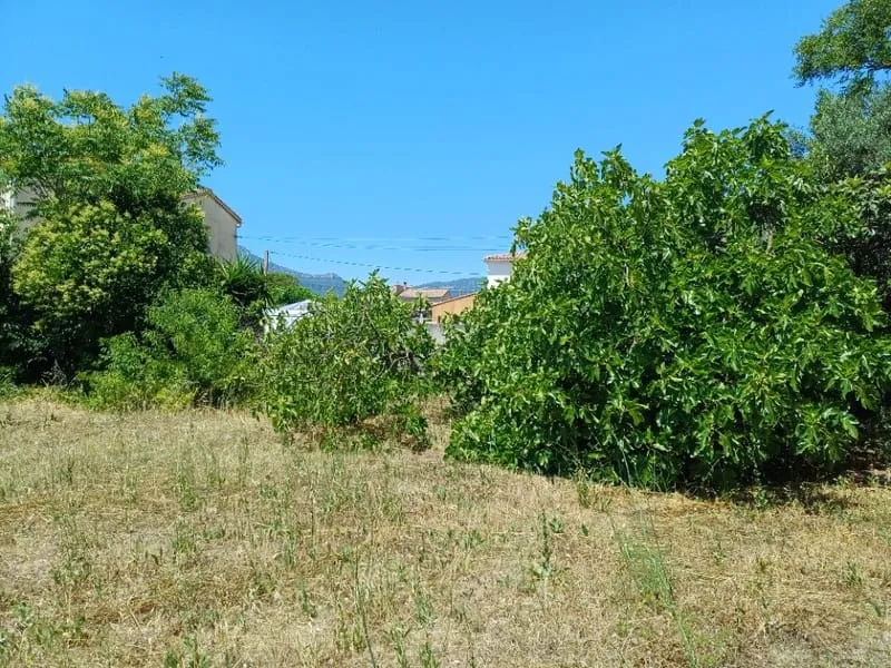 Terrain
