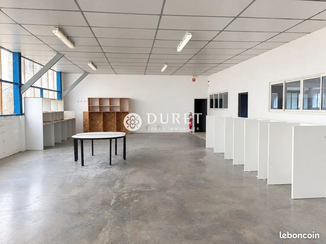 Local d'activité