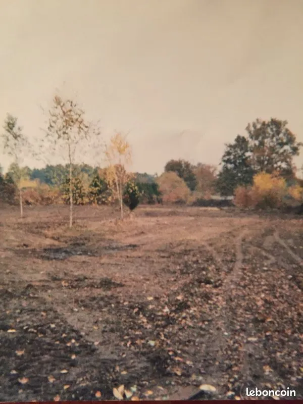 Terrain
