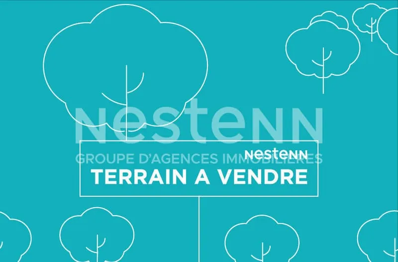 Terrain